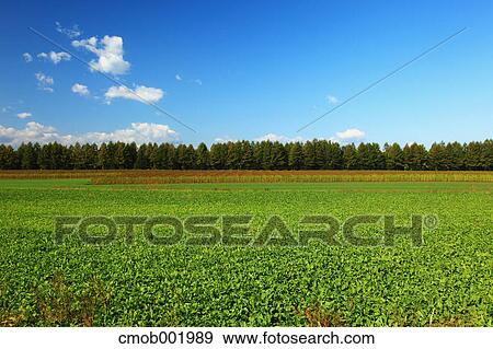 Stock Photo - Countryside in Hokkaido. Fotosearch