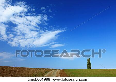 Countryside in Hokkaido View Large Photo Image Stock Photo - Countryside in Hokkaido. Fotosearch