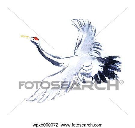 Stock Image - Crane illustration. Fotosearch