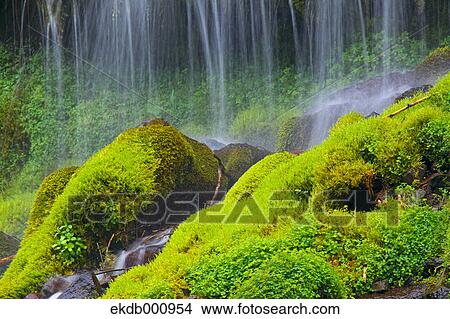 Picture - Doryu Waterfall, Yamanashi Prefecture. Fotosearch