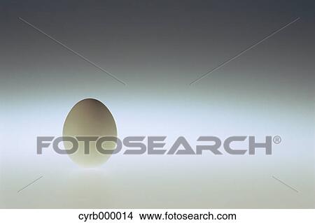 Picture - Egg. Fotosearch