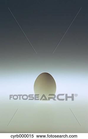 Egg View Large Photo Image Stock Photography - Egg. Fotosearch