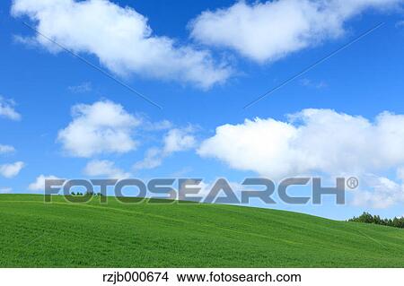 Picture - Grassland and blue sky with clouds, Hokkaido. Fotosearch