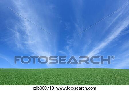 Grassland and blue sky with clouds, Hokkaido View Large Photo Image Stock Image - Grassland and blue sky with clouds, Hokkaido. Fotosearch