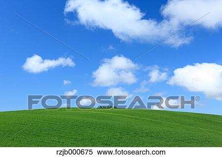 Grassland and blue sky with clouds, Hokkaido View Large Photo Image Stock Photography - Grassland and blue sky with clouds, Hokkaido. Fotosearch