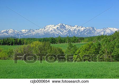 Picture - Grassland and mountains, Hokkaido. Fotosearch