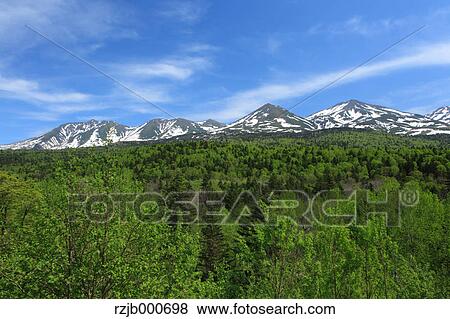Grassland and mountains, Hokkaido View Large Photo Image Stock Photo - Grassland and mountains, Hokkaido. Fotosearch