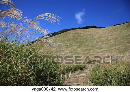 Grassland at Soni Plateau, Nara Prefecture View Large Photo Image Stock Image - Grassland at Soni Plateau, Nara Prefecture. Fotosearch
