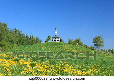 Grassland, Hokkaido View Large Photo Image Stock Photo - Grassland, Hokkaido. Fotosearch