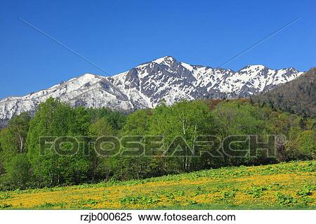 Grassland, Hokkaido View Large Photo Image Stock Photography - Grassland, Hokkaido. Fotosearch