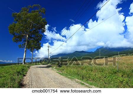 Grassland in Yatsugatake Ranch, Nagano Prefecture View Large Photo Image Picture - Grassland in Yatsugatake Ranch, Nagano Prefecture. Fotosearch
