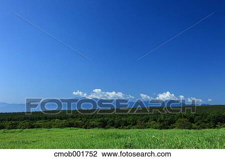 Grassland in Yatsugatake Ranch, Nagano Prefecture View Large Photo Image Stock Image - Grassland in Yatsugatake Ranch, Nagano Prefecture. Fotosearch