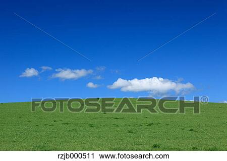 Green field and blue sky with clouds, Hokkaido View Large Photo Image Stock Image - Green field and blue sky with clouds, Hokkaido. Fotosearch