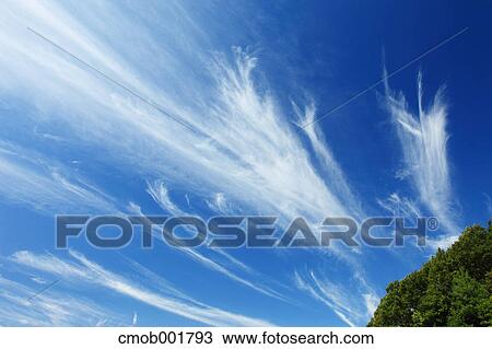 Greenery and blue sky with clouds in Sakurai, Nara Prefecture View Large Photo Image Stock Image - Greenery and blue sky with clouds in Sakurai, Nara Prefecture. Fotosearch