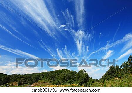 Greenery and blue sky with clouds in Sakurai, Nara Prefecture View Large Photo Image Stock Photography - Greenery and blue sky with clouds in Sakurai, Nara Prefecture. Fotosearch