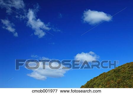 Greenery and blue sky with clouds View Large Photo Image Stock Photo - Greenery and blue sky with clouds. Fotosearch