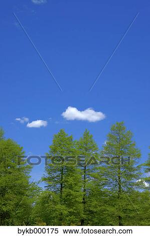 Stock Photography - Greenery and blue sky with clouds. Fotosearch