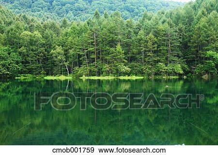Greenery at Mishakaike, Nagano Prefecture View Large Photo Image Stock Photo - Greenery at Mishakaike, Nagano Prefecture. Fotosearch