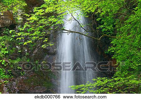 Hairazawa waterfall, Tokyo Prefecture View Large Photo Image Stock Photograph - Hairazawa waterfall, Tokyo Prefecture. Fotosearch