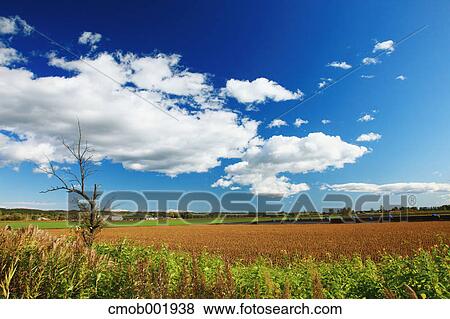Stock Photo - Hokkaido countryside. Fotosearch