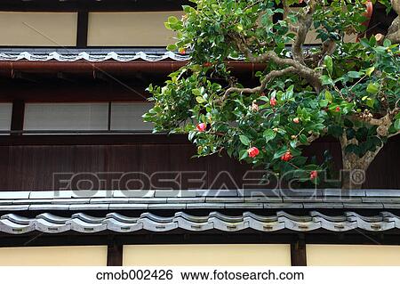 Japanese traditional tiled roof building, Ehime Prefecture View Large Photo Image Stock Photograph - Japanese traditional tiled roof building, Ehime Prefecture. Fotosearch