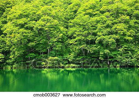 Kama pond in Otari, Nagano Prefecture View Large Photo Image Stock Photo - Kama pond in Otari, Nagano Prefecture. Fotosearch