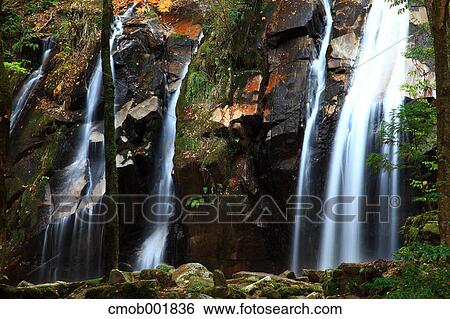 Kanabiki waterfall in Miyazu, Kyoto Prefecture View Large Photo Image Stock Photograph - Kanabiki waterfall in Miyazu, Kyoto Prefecture. Fotosearch