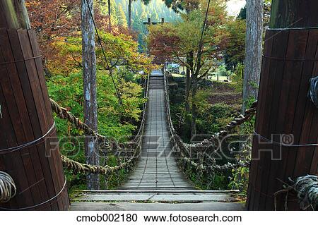Kazura vine bridge in Ikeda, Fukui Prefecture View Large Photo Image Stock Image - Kazura vine bridge in Ikeda, Fukui Prefecture. Fotosearch
