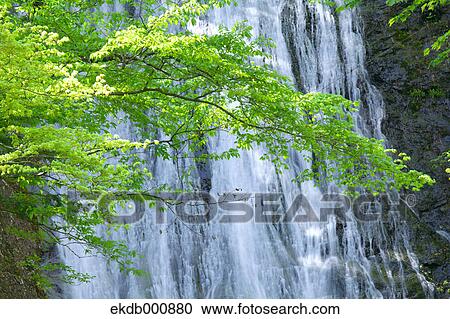 Marugami waterfall, Saitama View Large Photo Image Stock Image - Marugami waterfall, Saitama. Fotosearch