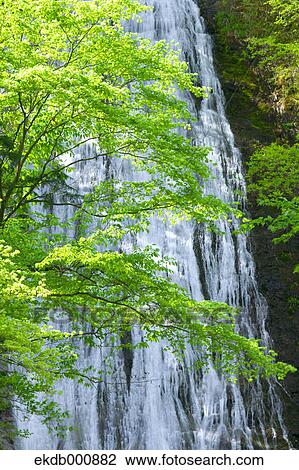 Marugami waterfall, Saitama View Large Photo Image Stock Image - Marugami waterfall, Saitama. Fotosearch