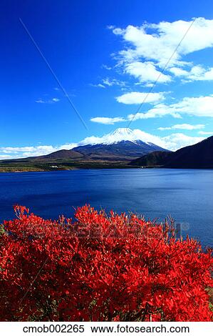 Mount Fuji and lake Motosu, Yamanashi Prefecture View Large Photo Image Stock Photography - Mount Fuji and lake Motosu, Yamanashi Prefecture. Fotosearch