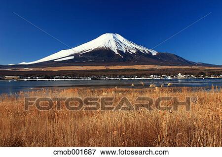 Mount Fuji and Lake Yamanaka, Yamanashi Prefecture View Large Photo Image Stock Photo - Mount Fuji and Lake Yamanaka, Yamanashi Prefecture. Fotosearch