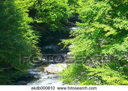 Stock Image - Mountain stream in Tabayama valley, Yamanashi Prefecture. Fotosearch