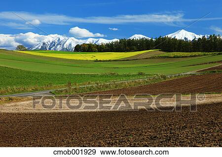 Mountainscape at Shikisai hill, Hokkaido View Large Photo Image Stock Photo - Mountainscape at Shikisai hill, Hokkaido. Fotosearch