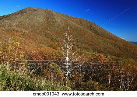 Mountainscape in Shikaoi, Hokkaido View Large Photo Image Stock Image - Mountainscape in Shikaoi, Hokkaido. Fotosearch