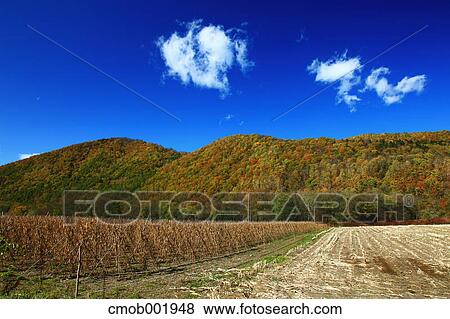 Mountainscape in Shikaoi, Hokkaido View Large Photo Image Stock Photo - Mountainscape in Shikaoi, Hokkaido. Fotosearch