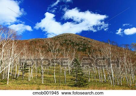 Stock Photography - Mountainscape in Shikaoi, Hokkaido. Fotosearch
