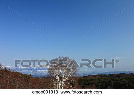 Mountainscape in Tateshina, Nagano Prefecture View Large Photo Image Stock Photo - Mountainscape in Tateshina, Nagano Prefecture. Fotosearch