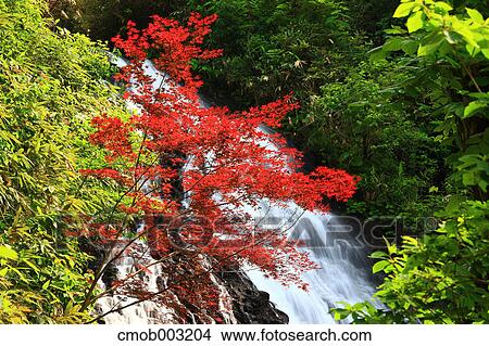 Nana waterfall, Akita Prefecture View Large Photo Image Picture - Nana waterfall, Akita Prefecture. Fotosearch