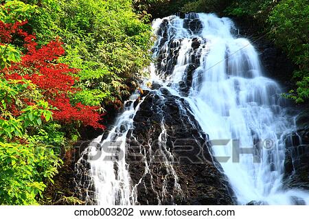 Nana waterfall, Akita Prefecture View Large Photo Image Stock Image - Nana waterfall, Akita Prefecture. Fotosearch