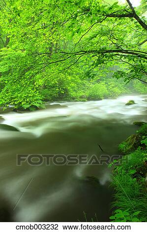 Oirase mountain stream, Aomori Prefecture View Large Photo Image Stock Image - Oirase mountain stream, Aomori Prefecture. Fotosearch
