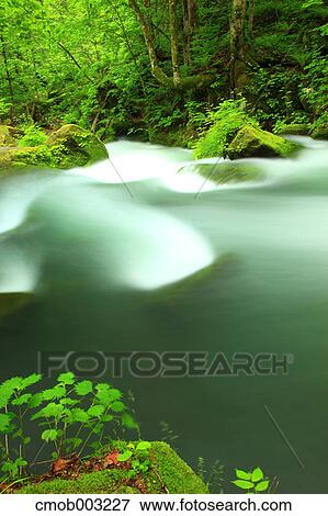 Oirase mountain stream, Aomori Prefecture View Large Photo Image Stock Photo - Oirase mountain stream, Aomori Prefecture. Fotosearch