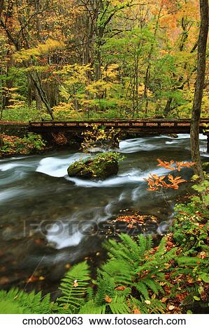 Oirase mountain stream View Large Photo Image Stock Image - Oirase mountain stream. Fotosearch