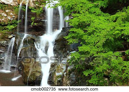 Otodoro waterfall, Tokushima Prefecture View Large Photo Image Stock Photography - Otodoro waterfall, Tokushima Prefecture. Fotosearch