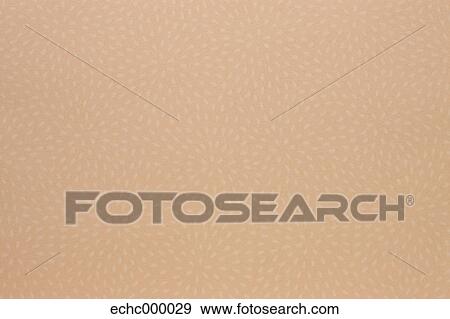 Paper texture View Large Photo Image Stock Photo - Paper texture. Fotosearch
