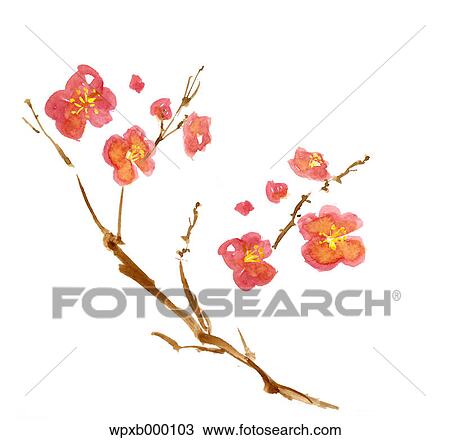 Plum flowers illustration View Large Photo Image Stock Image - Plum flowers illustration. Fotosearch