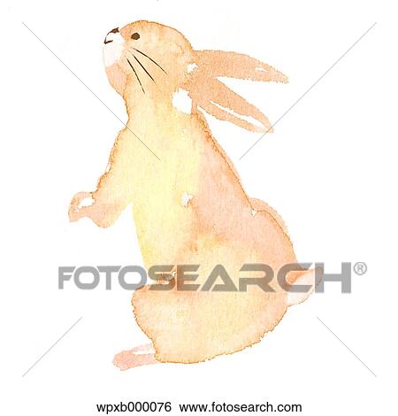 Stock Photograph - Rabbit illustration. Fotosearch