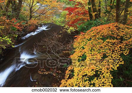 Rarumanai waterfall, Hokkaido View Large Photo Image Stock Image - Rarumanai waterfall, Hokkaido. Fotosearch