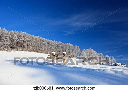 Rimed forest in Furano, Hokkaido View Large Photo Image Stock Image - Rimed forest in Furano, Hokkaido. Fotosearch