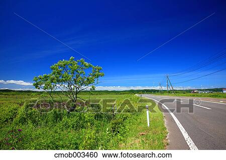 Stock Image - Road through the countryside, Hokkaido. Fotosearch
